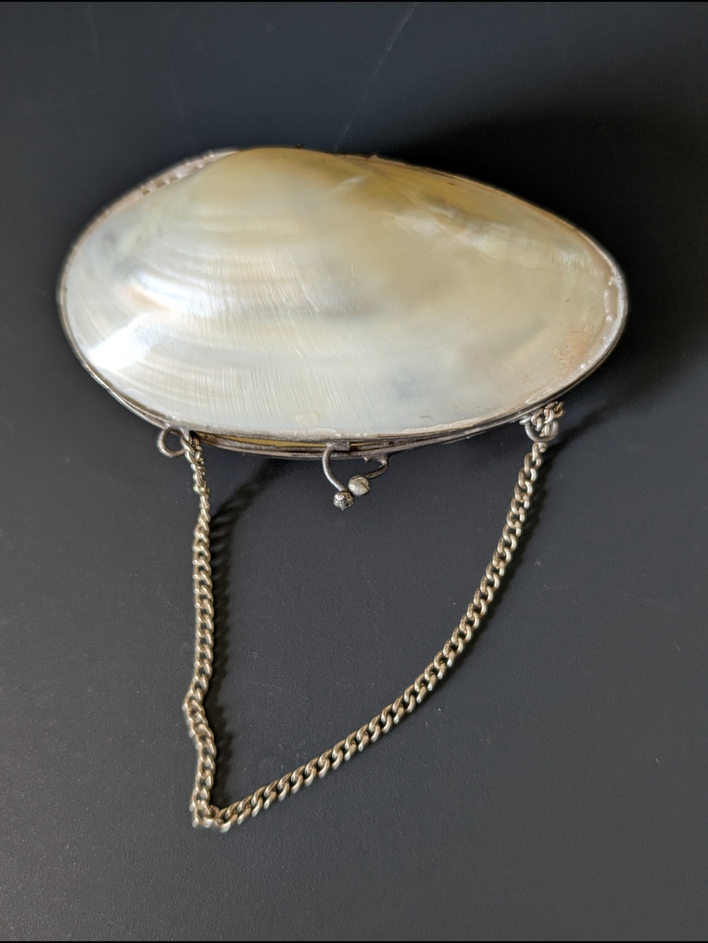 Minaudière with Silver Chain Vintage Novelty Item